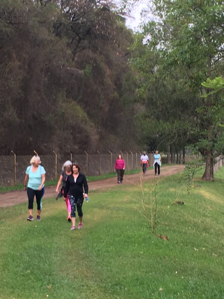 https://thewomenstravelgroup.com/tours-for-women/